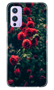 Red Rose Mobile Back Case for OnePlus 9 (Design - 66)
