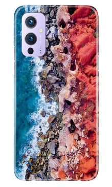Sea Shore Mobile Back Case for OnePlus 9 (Design - 273)