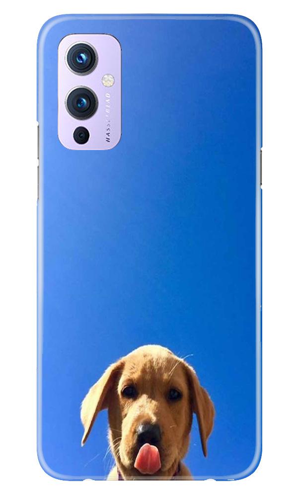 Dog Mobile Back Case for OnePlus 9 (Design - 332)
