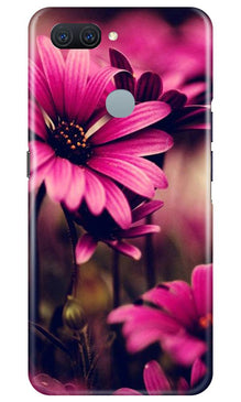 Purple Daisy Mobile Back Case for Oppo A11K (Design - 65)