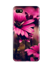 Purple Daisy Mobile Back Case for Oppo A1K (Design - 65)