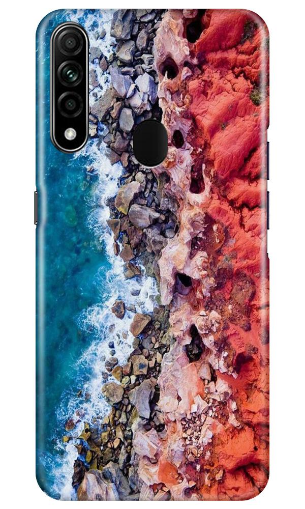 Sea Shore Case for Oppo A31 (Design No. 273)