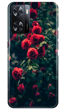Red Rose Mobile Back Case for Oppo A57 (Design - 66)