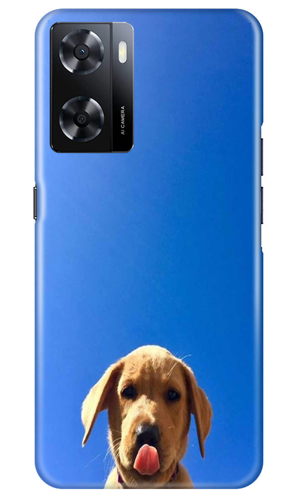 Dog Mobile Back Case for Oppo A57 (Design - 294)