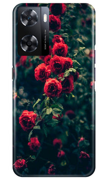 Red Rose Mobile Back Case for Oppo A77s (Design - 66)