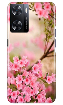 Pink flowers Mobile Back Case for Oppo A77s (Design - 69)