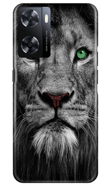 Lion Mobile Back Case for Oppo A77s (Design - 241)