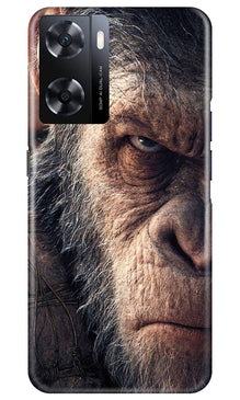 Angry Ape Mobile Back Case for Oppo A77s (Design - 278)