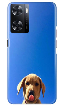 Dog Mobile Back Case for Oppo A77s (Design - 294)