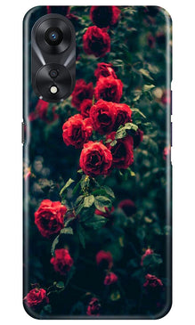 Red Rose Mobile Back Case for Oppo A78 5G (Design - 66)