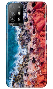 Sea Shore Mobile Back Case for Oppo A94 (Design - 242)