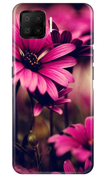 Purple Daisy Mobile Back Case for Oppo F17 (Design - 65)