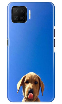 Dog Mobile Back Case for Oppo F17 (Design - 332)