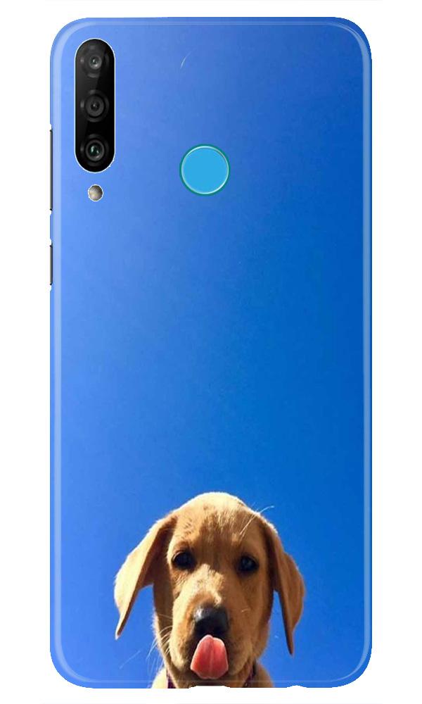 Dog Mobile Back Case for Huawei P30 Lite (Design - 332)