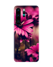 Purple Daisy Mobile Back Case for Huawei P30 Pro (Design - 65)