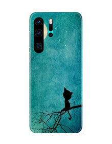 Moon cat Mobile Back Case for Huawei P30 Pro (Design - 70)