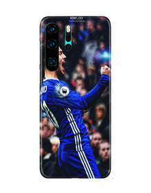 Hazard Mobile Back Case for Huawei P30 Pro  (Design - 169)