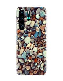 Pebbles Mobile Back Case for Huawei P30 Pro (Design - 205)
