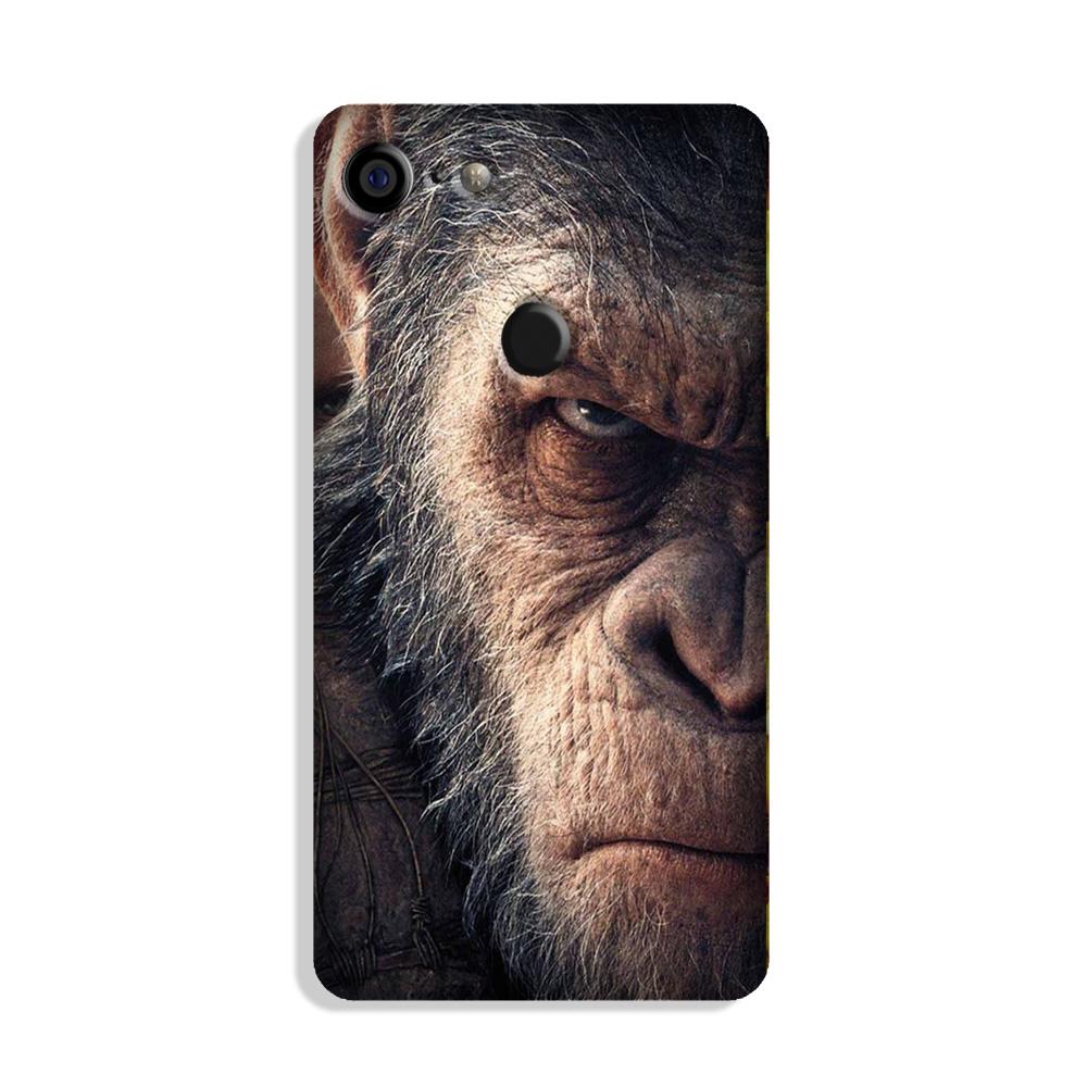 Angry Ape Mobile Back Case for Google Pixel 3 (Design - 316)