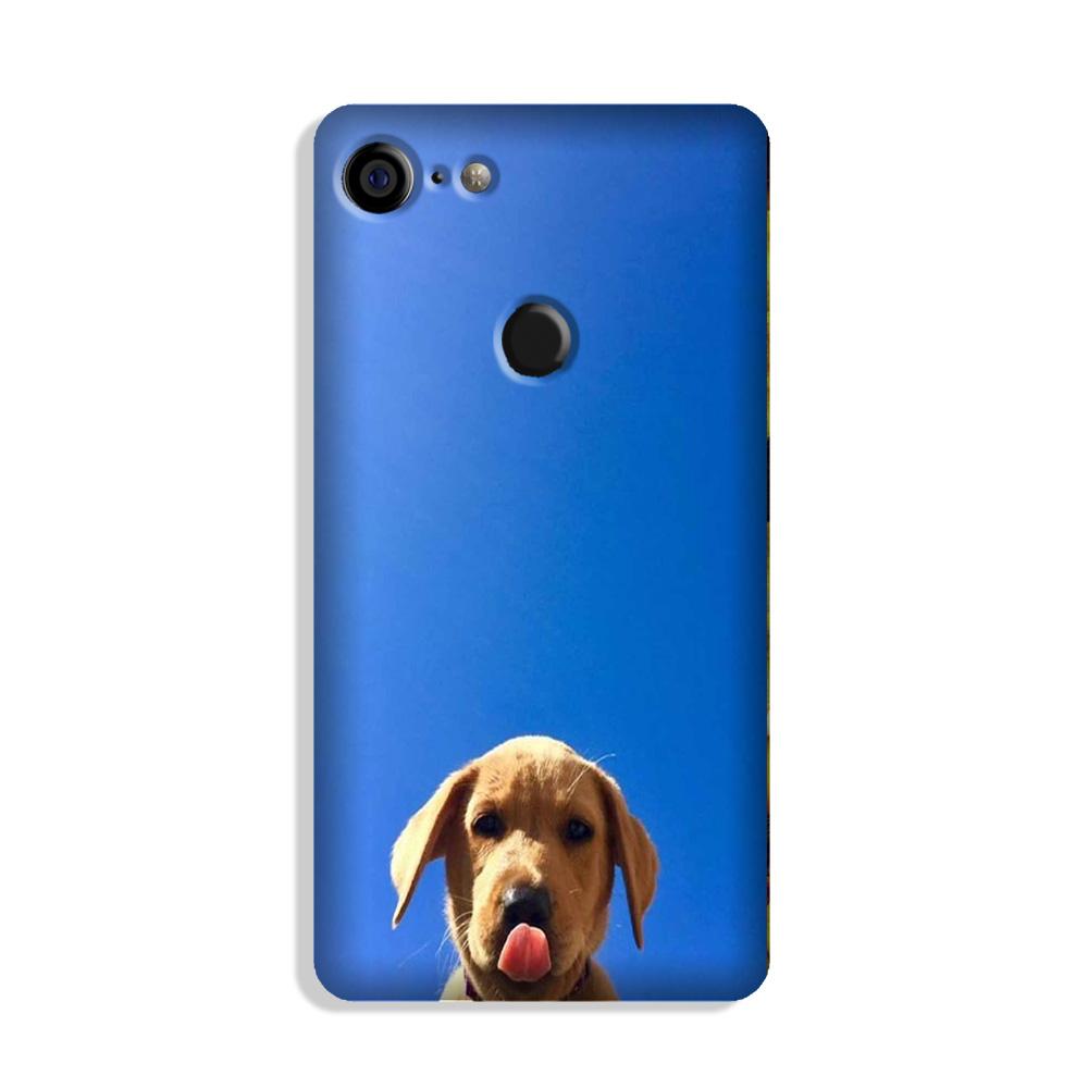 Dog Mobile Back Case for Google Pixel 3 (Design - 332)