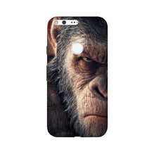 Angry Ape Mobile Back Case for Google Pixel XL (Design - 316)
