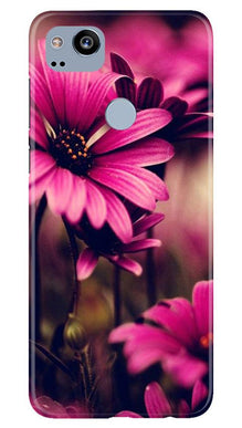 Purple Daisy Mobile Back Case for Google Pixel 2 (Design - 65)