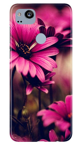 Purple Daisy Case for Google Pixel 2