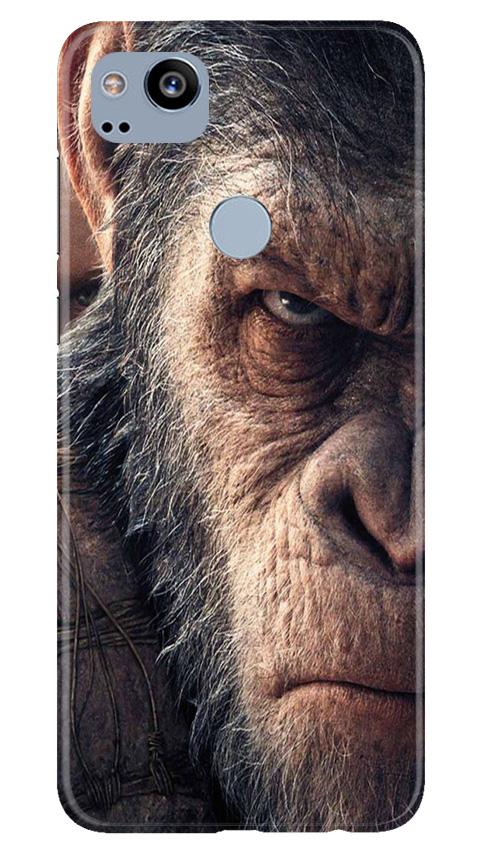 Angry Ape Mobile Back Case for Google Pixel 2 (Design - 316)