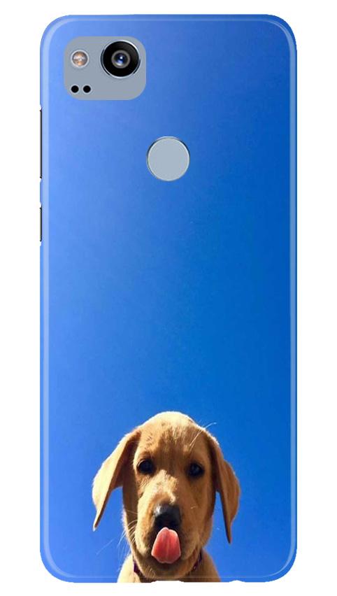 Dog Mobile Back Case for Google Pixel 2 (Design - 332)
