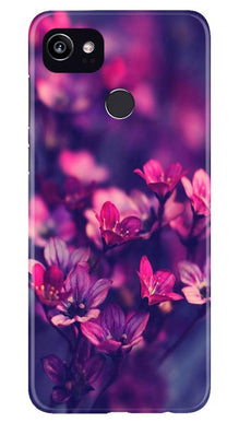 flowers Mobile Back Case for Google Pixel 2 XL (Design - 25)