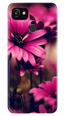 Purple Daisy Mobile Back Case for Google Pixel 2 XL (Design - 65)