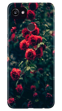Red Rose Mobile Back Case for Google Pixel 2 XL (Design - 66)