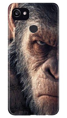 Angry Ape Mobile Back Case for Google Pixel 2 XL (Design - 316)
