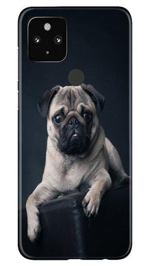 little Puppy Mobile Back Case for Google Pixel 4a (Design - 68)