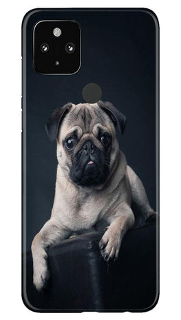 little Puppy Case for Google Pixel 4a