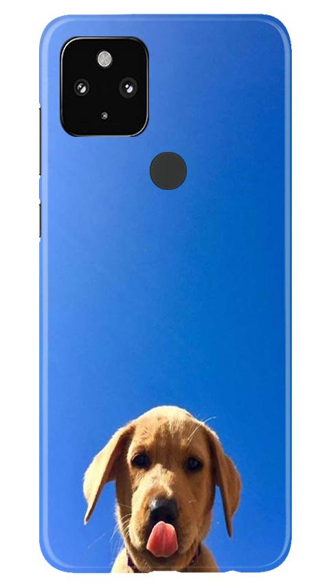 Dog Mobile Back Case for Google Pixel 4a (Design - 332)