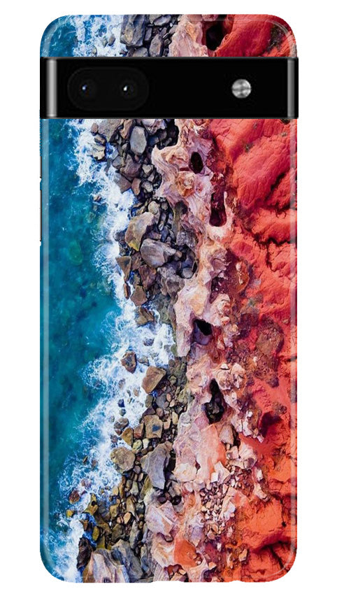 Lion Case for Google Pixel 6a (Design No. 241)