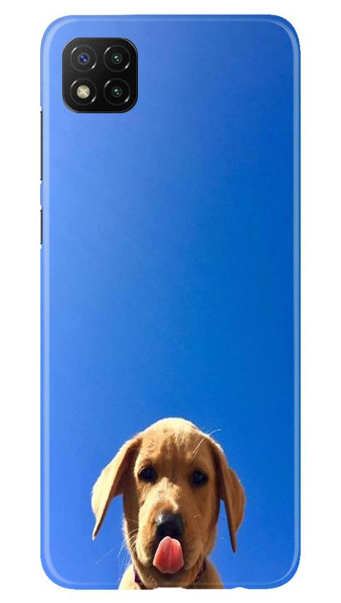 Dog Mobile Back Case for Poco C3 (Design - 332)