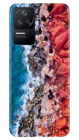 Lion Case for Poco F4 (Design No. 241)