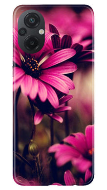 Purple Daisy Mobile Back Case for Poco M5 (Design - 65)