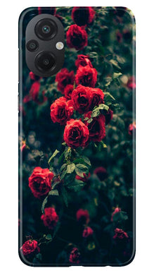 Red Rose Mobile Back Case for Poco M5 (Design - 66)