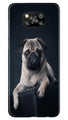 little Puppy Case for Poco X3