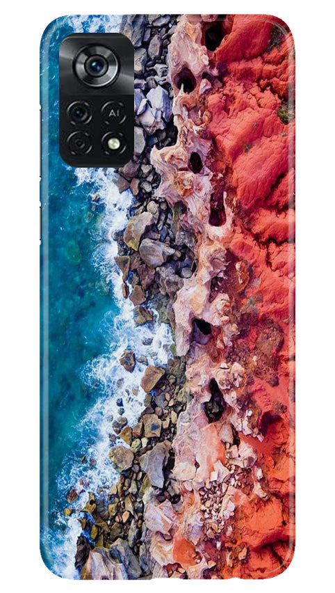 Lion Case for Poco X4 Pro (Design No. 241)