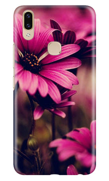 Purple Daisy Mobile Back Case for Asus Zenfone Max Pro M2 (Design - 65)
