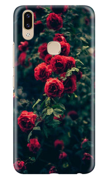 Red Rose Mobile Back Case for Asus Zenfone Max M2 (Design - 66)