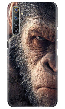 Angry Ape Mobile Back Case for Realme 6i (Design - 316)