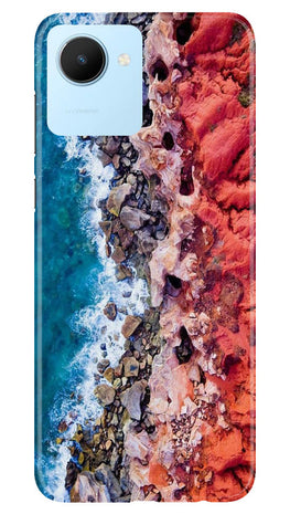 Lion Case for Realme C30 (Design No. 241)