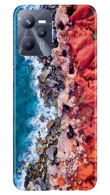 Lion Mobile Back Case for Realme C35 (Design - 241)