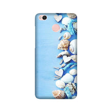 Sea Shells2 Mobile Back Case for Redmi 4 (Design - 64)