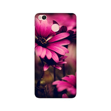 Purple Daisy Mobile Back Case for Redmi 4 (Design - 65)